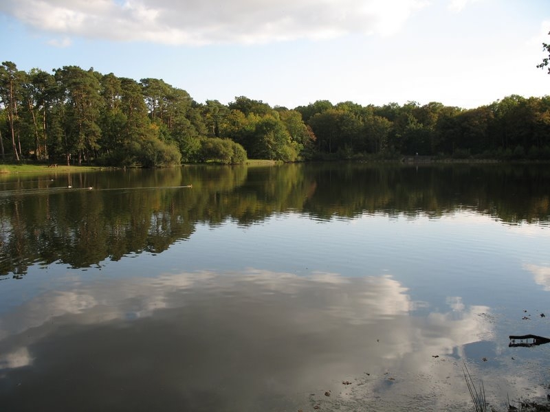 2007 09 Myco avec la SMF 28